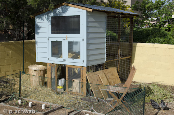 Relocated chicken coop